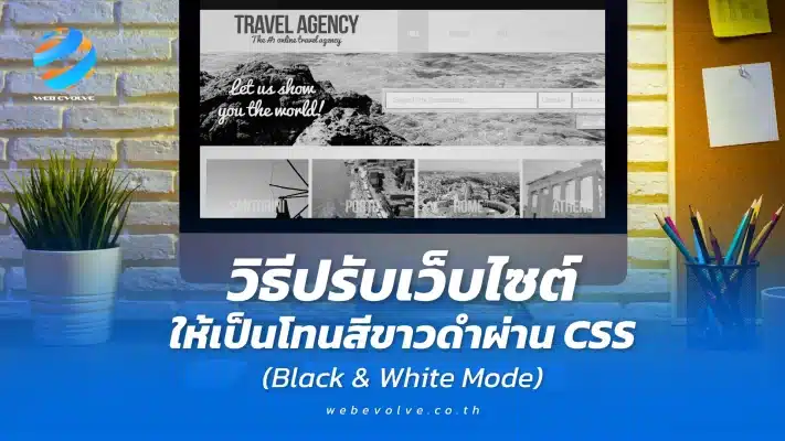 วิธีปรับเว็บไซต์ให้เป็นโทนสีขาวดำผ่าน CSS (Black & White Mode)